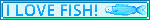 I LOVE FISH!